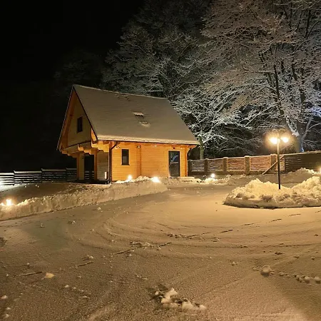 Zdrojowe Domek alpejski
